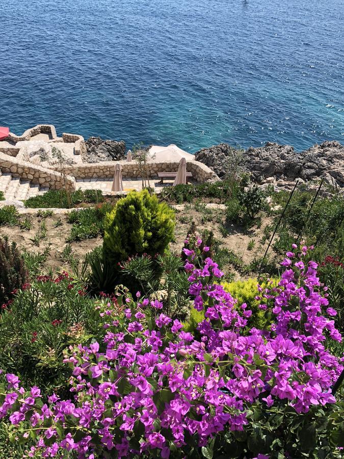 Montenegro - South Cross Apartman Dobra Voda Kültér fotó